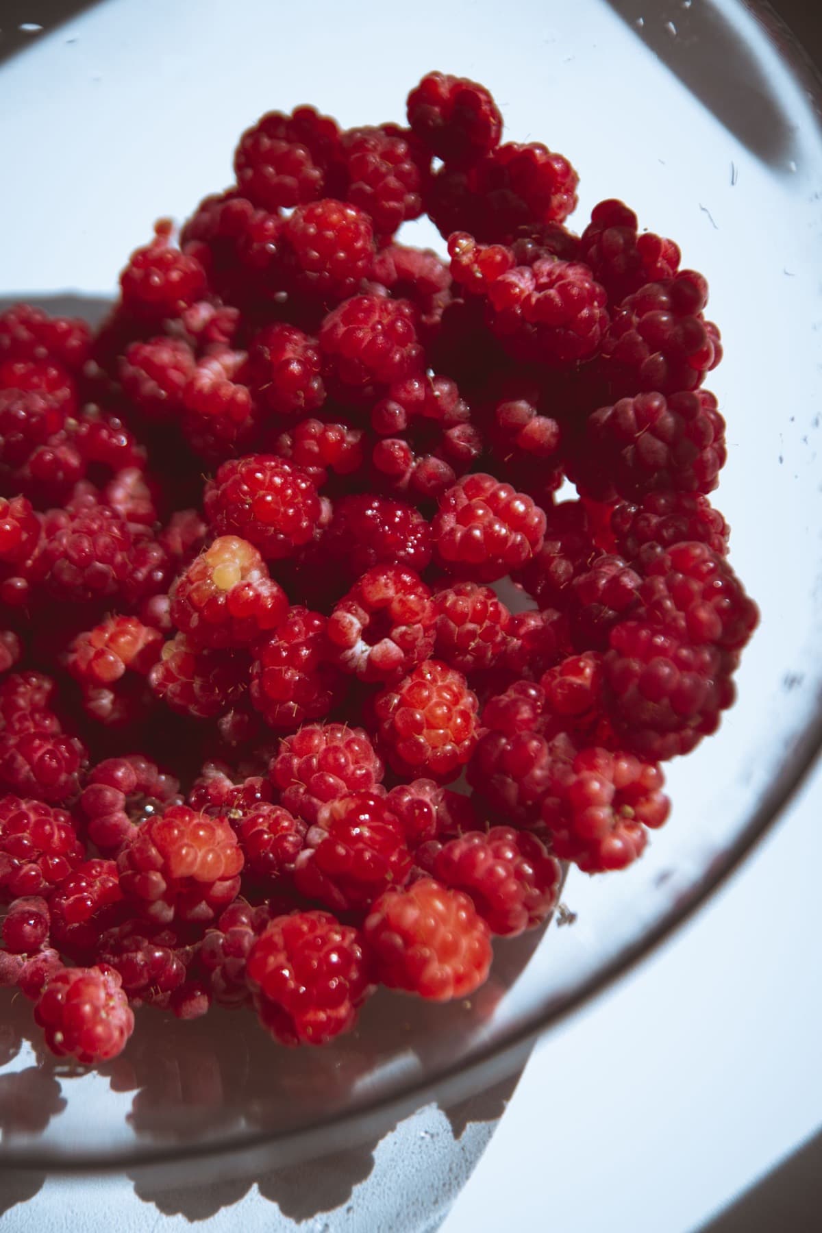 Raspberries in a glass bowl on a sunlit table.